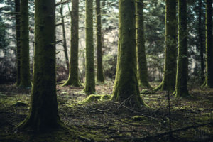 eco conscious wedding montpellier south of france