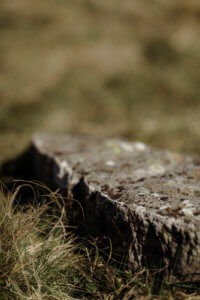 mariage nature sur mesue