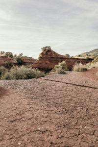 mariage nature montpellier