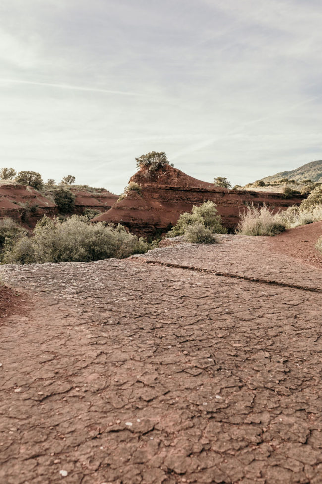 mariage nature montpellier