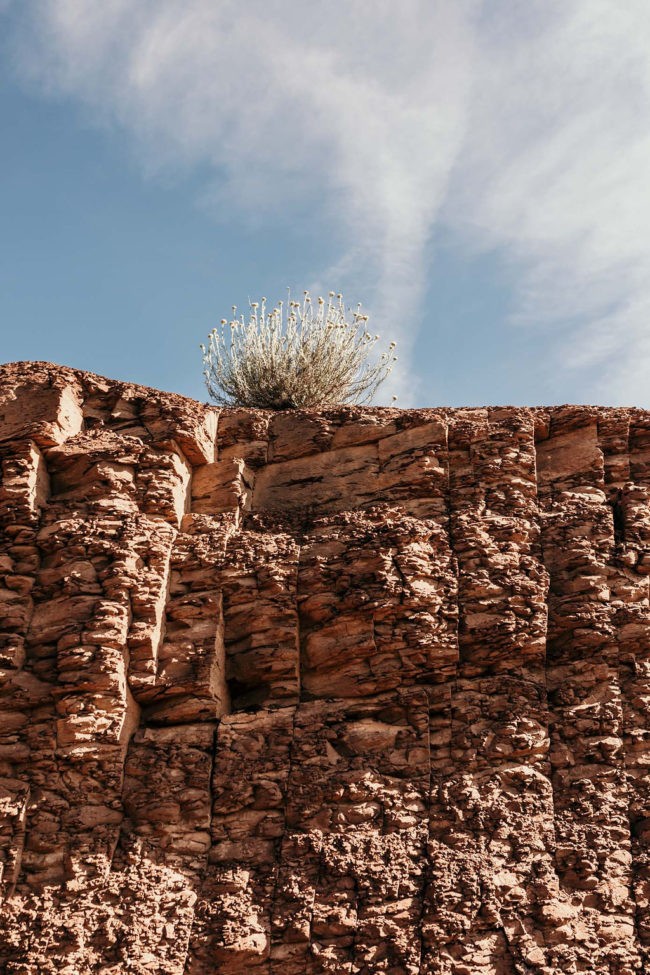 mariage nature sud de france